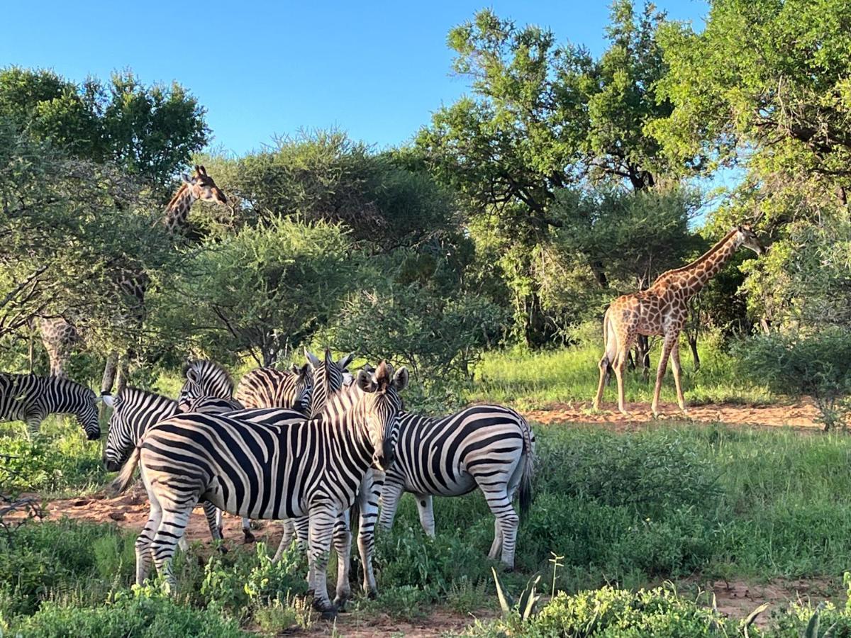Lindiwe Safari Lodge Hoedspruit Luaran gambar